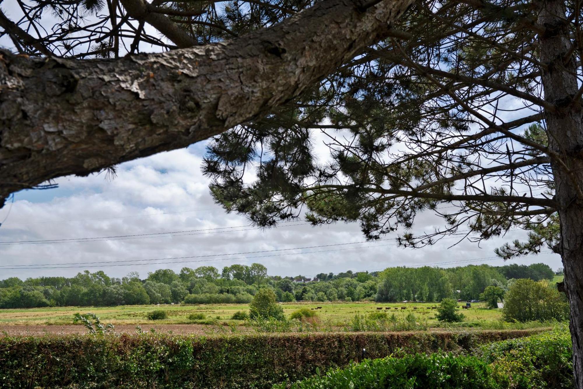 Owlet Lodge Chislet Exterior foto
