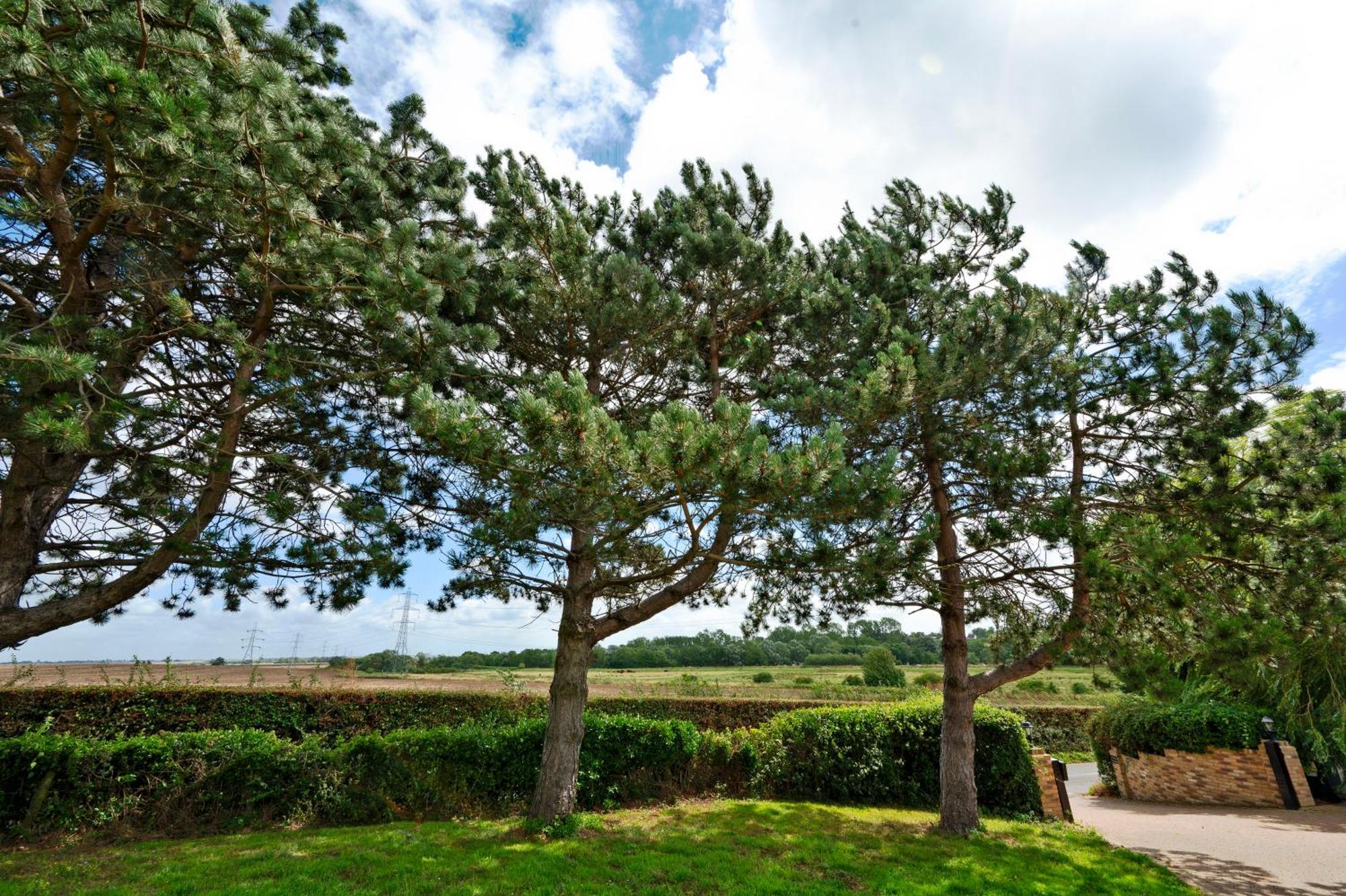 Owlet Lodge Chislet Exterior foto
